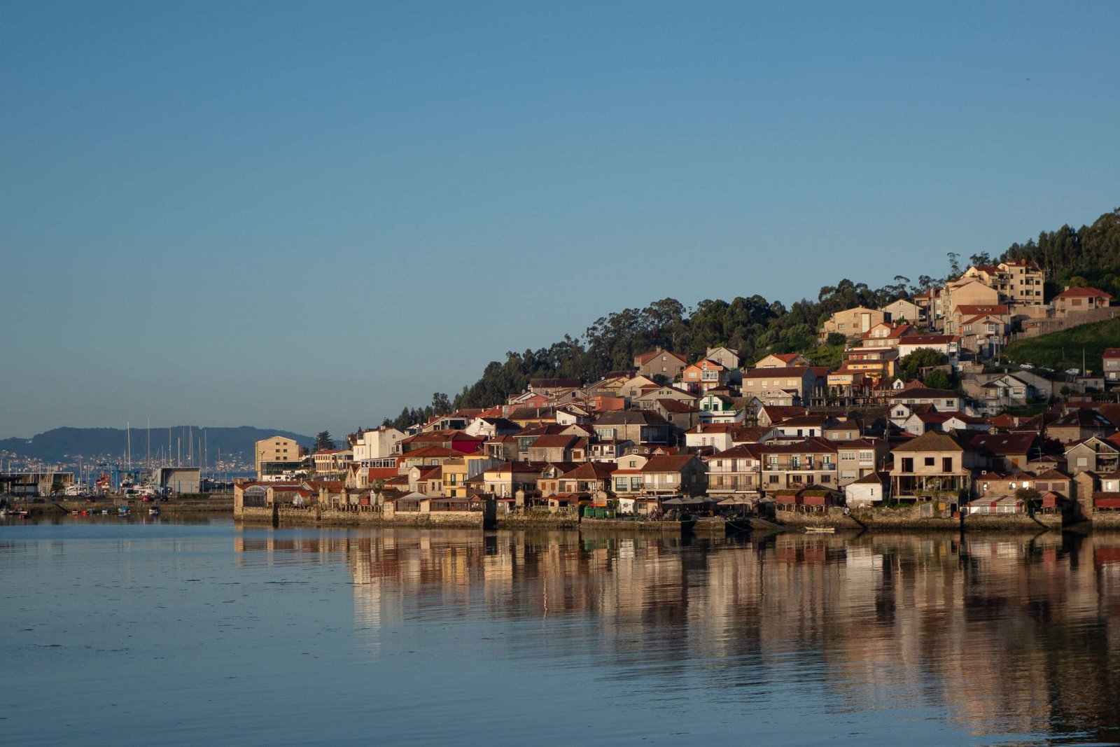 wide-shot-city-full-houses-hill-by-shore-cool-day